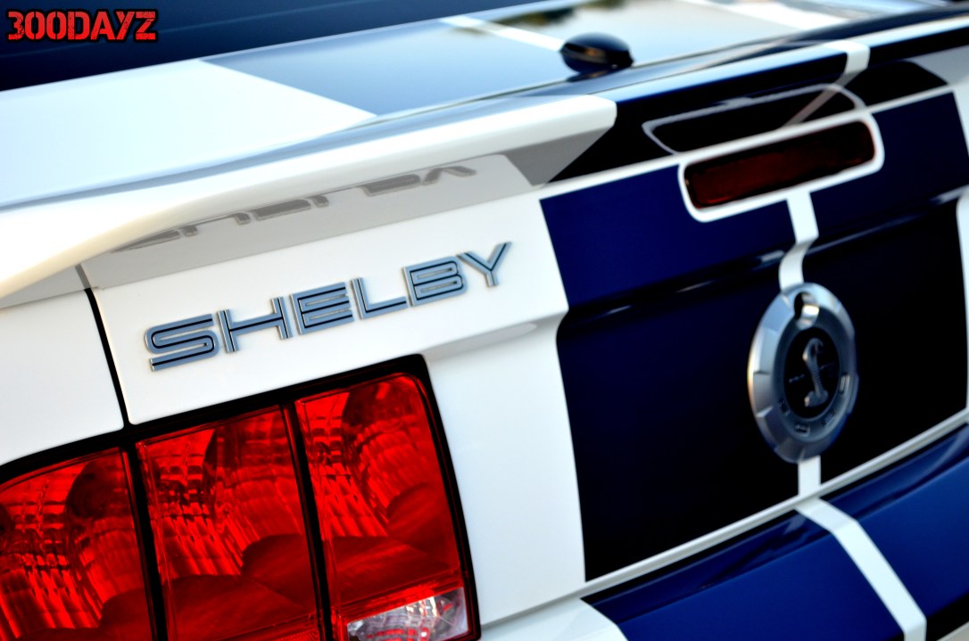 shelby